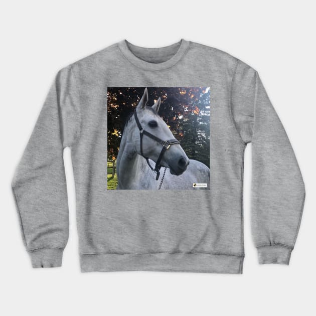 Platinum Crewneck Sweatshirt by SunshineHorses